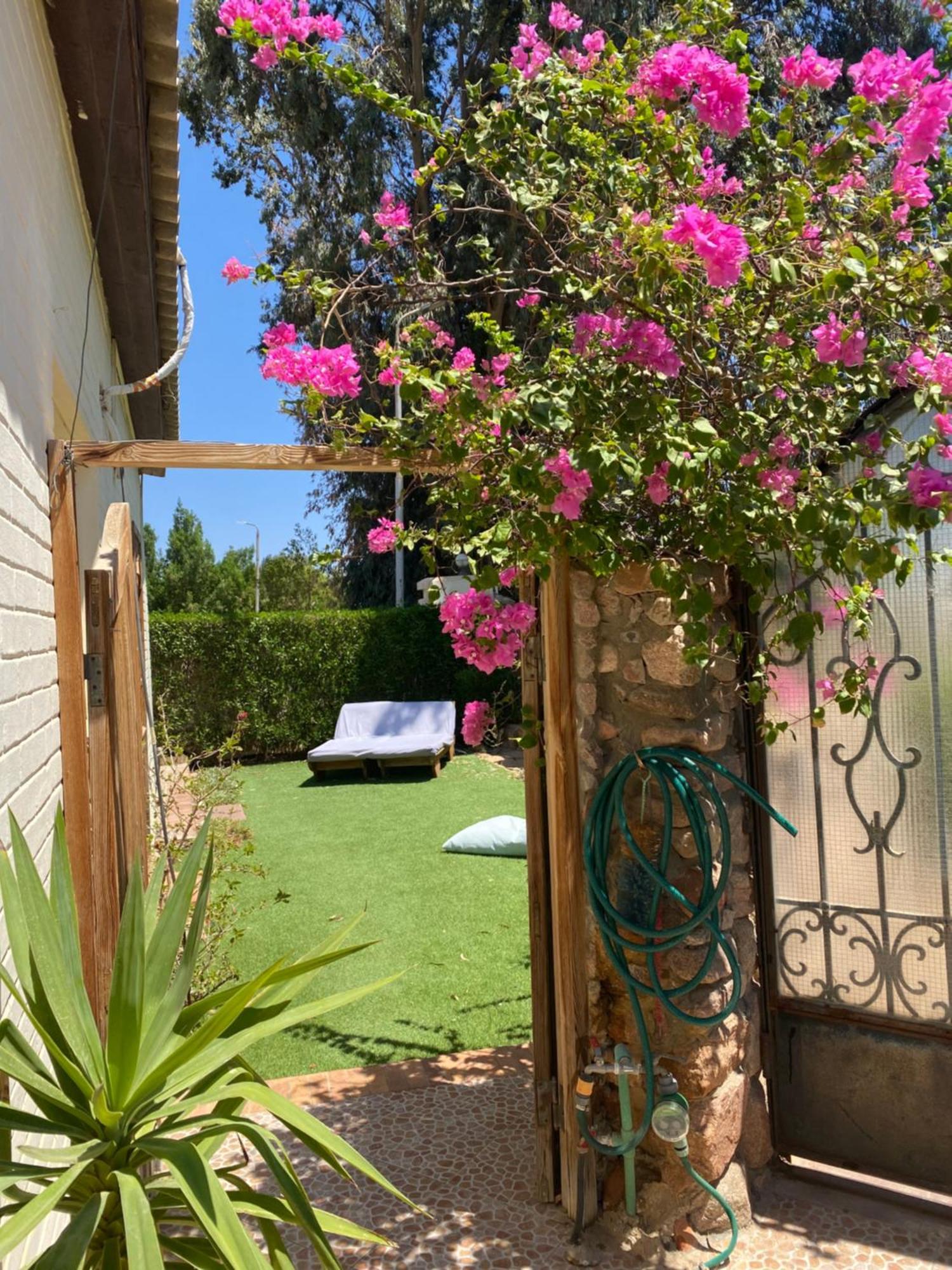 Octopus Apartment - Lagoon Villa Νταχάμπ Εξωτερικό φωτογραφία